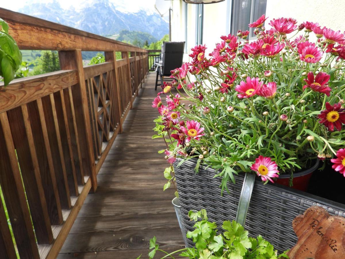 Bio-Bauernhof Einberghof Apartment Pfarrwerfen Exterior photo