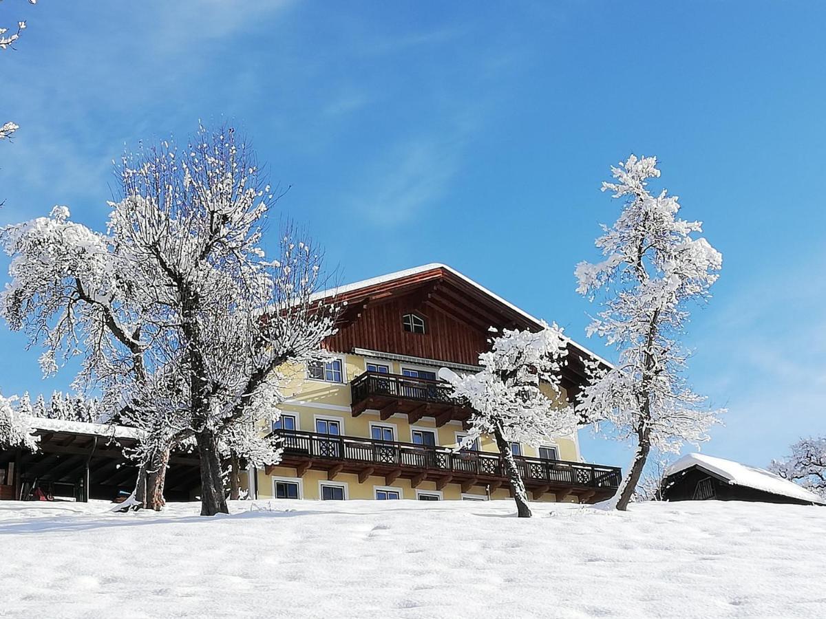Bio-Bauernhof Einberghof Apartment Pfarrwerfen Exterior photo