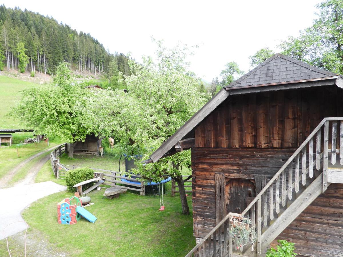 Bio-Bauernhof Einberghof Apartment Pfarrwerfen Exterior photo