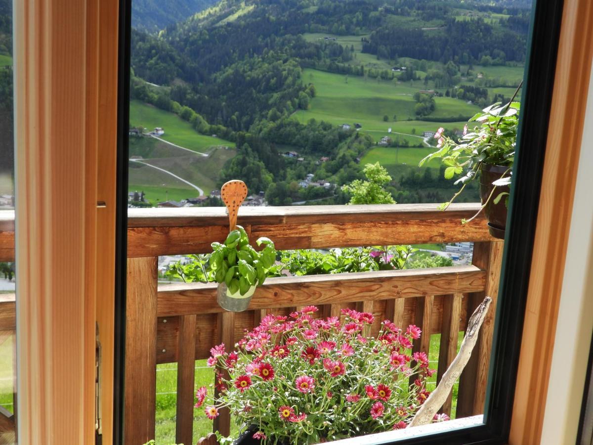 Bio-Bauernhof Einberghof Apartment Pfarrwerfen Exterior photo