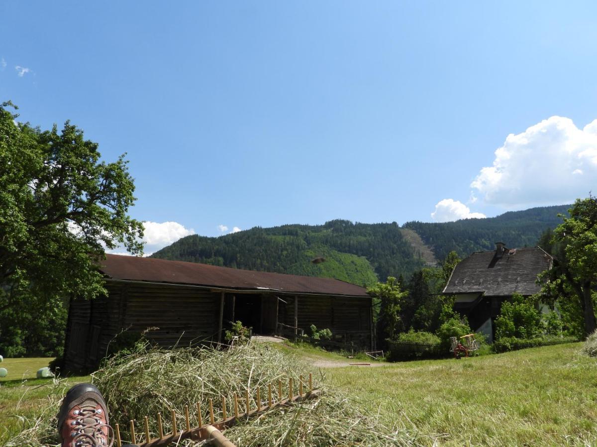 Bio-Bauernhof Einberghof Apartment Pfarrwerfen Exterior photo